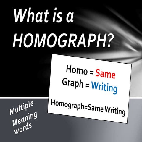 Homographs
