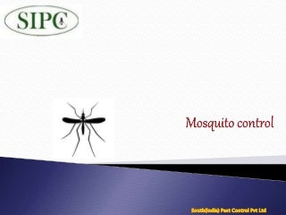 Norfolk county mosquito control project home page Norfolk county mosquito control project home page