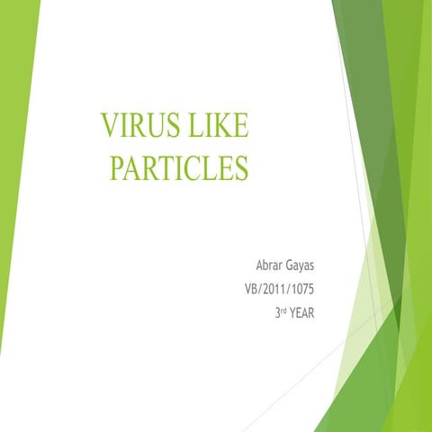 Virus Like Particles