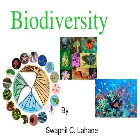 Ch 15 - Biodiversity and Conservation || Class 12 || | PPTX