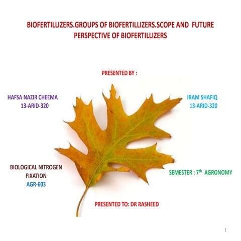 BIOFERTILLIZERS.GROUPS OF BIOFERTILLIZERS.SCOPE AND  FUTURE PERSPECTIVE OF BIOFERTILLIZERS