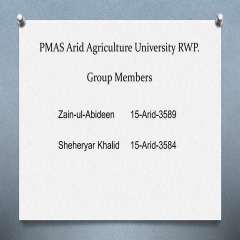 Skimming and Scanning