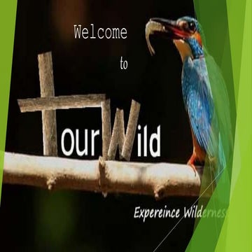TOURWILD 