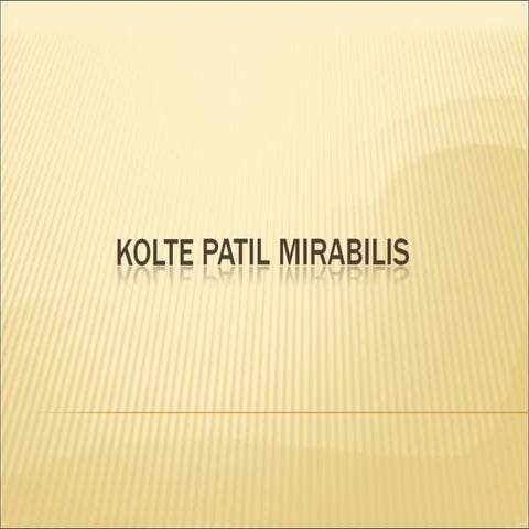  Kolte Patil Mirabilis