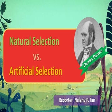 Natural Selection vs. Artificial Selection
