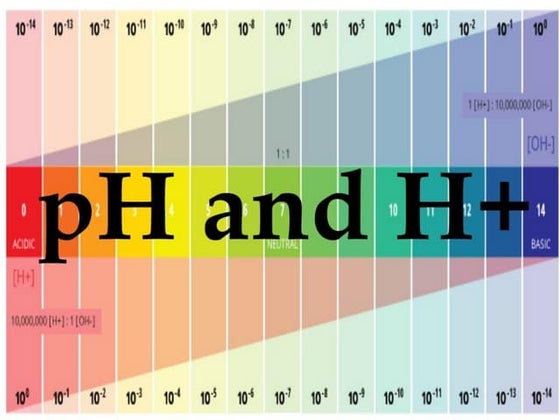 Thermochemistry | PPT