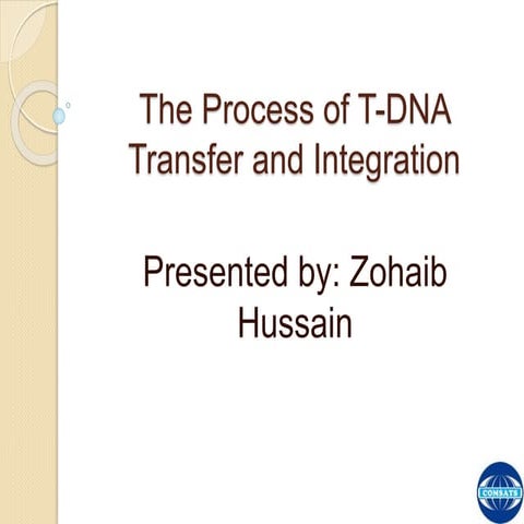 The Process of T-DNA Transfer and Integration | PPTX