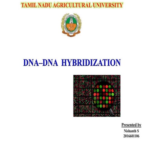DNA-DNA Hybridisation