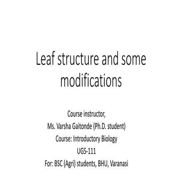 Leaf structure and function