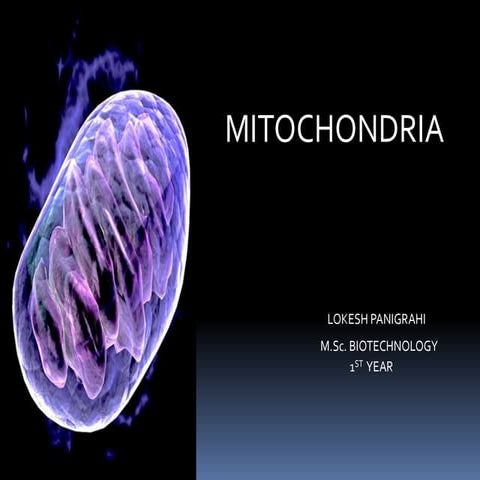 MITOCHONDRIA ,STRUCTURE ,Mt DNA ,PROTEIN TRANSPORT,ETC,OXIDATIVE PHOSPHORYLATION
