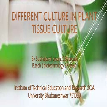 different culture in plant tissue culture
