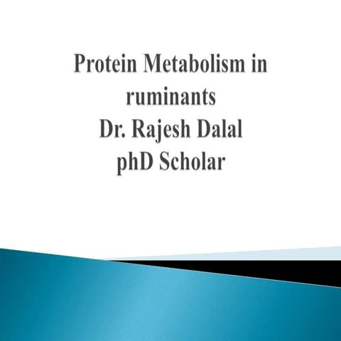 PROTEIN METABOLISM IN RUMINANTS 