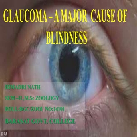 Glaucoma, a major cause of blindness.