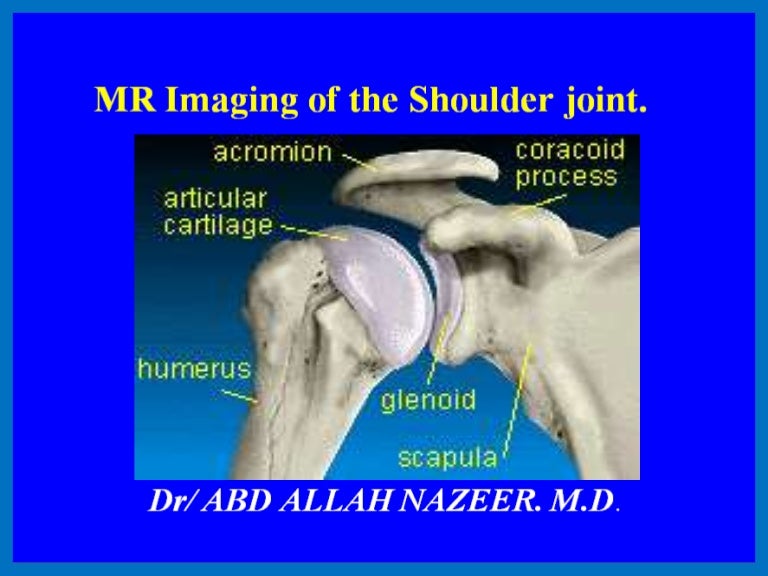 Presentation1.pptx. shoulder joint.