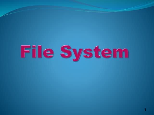 File System