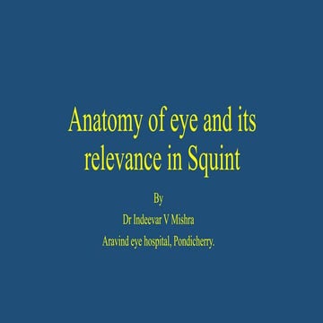 Anatomy of eye and its clinical relevance in Squint