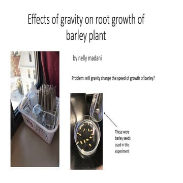 Barley experiment