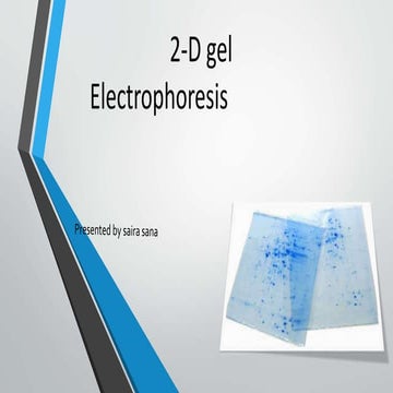 2 -D GEL ELECTROPHORESIS 