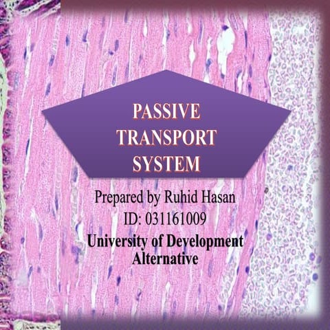 PASSIVE TRANSPORT SYSTEM