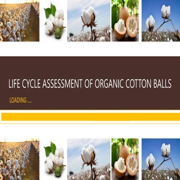 Life Cycle Assessment