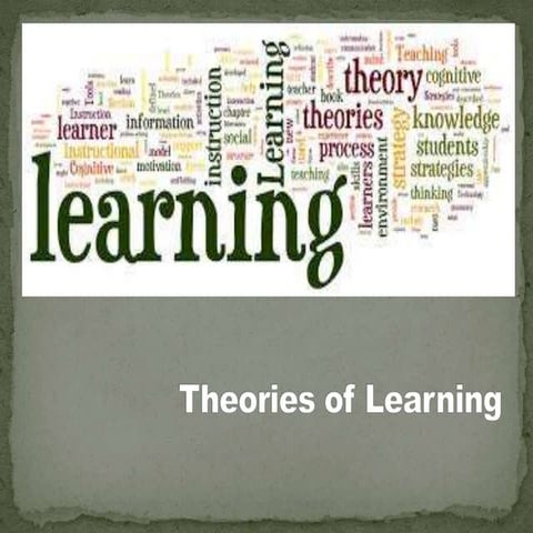 Theories of Learning
