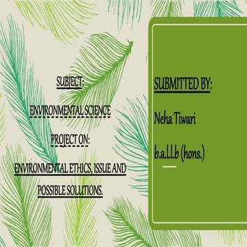 Environmental Ethics, issues and possible solutions 