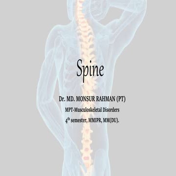 Spine Anatomy. 