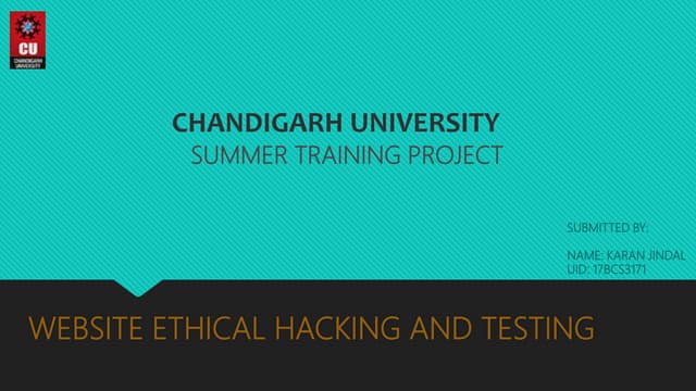 Website ethical hacking and testing