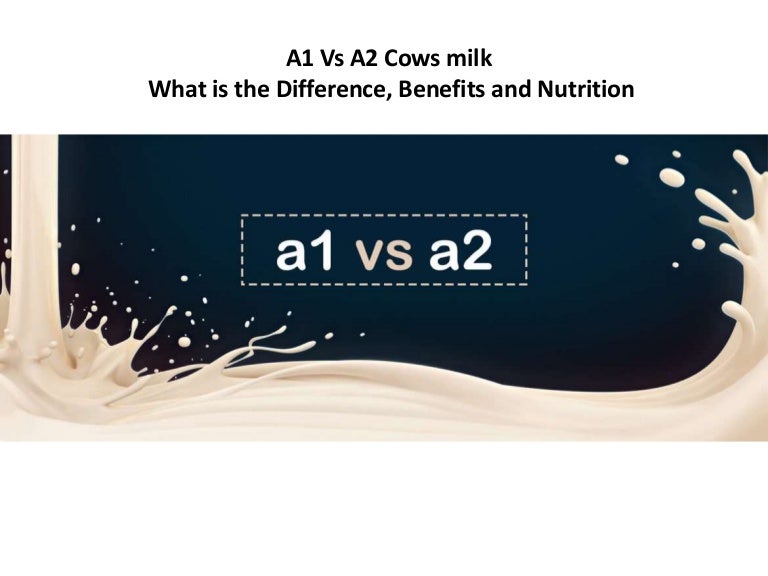 A1 Vs A2 Cows milkWhat is the Difference and Benefits GFO Farming