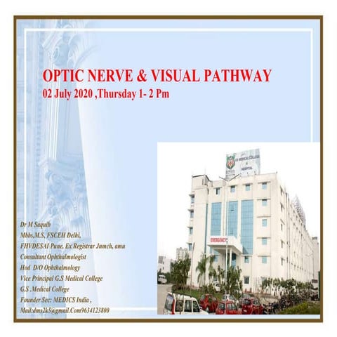 OPTIC NERVE & VISUAL PATHWAY 