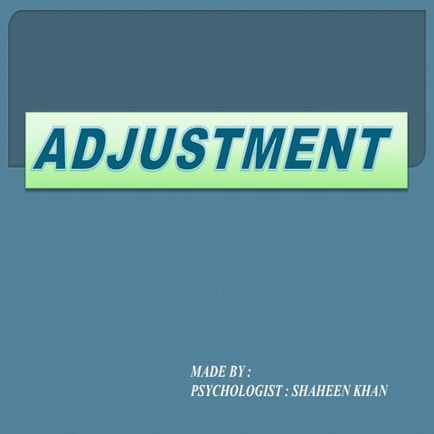 ADJUSTMENT 