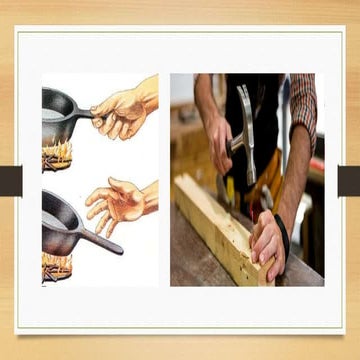 Nervous system - Class V