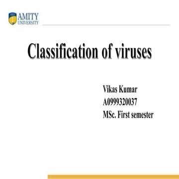 classification of virus