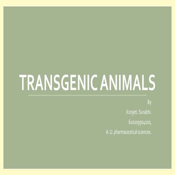 transgenic animals