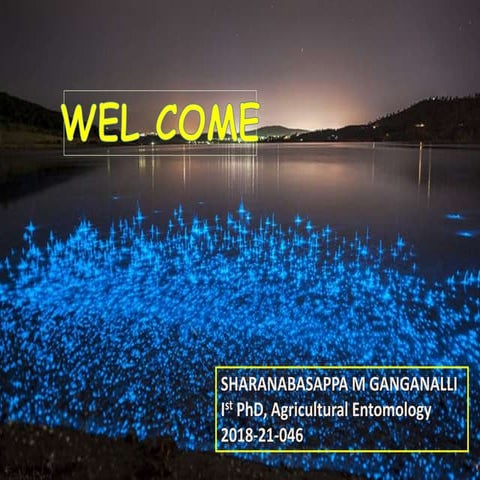 Bioluminescence in Bacteria | PPT