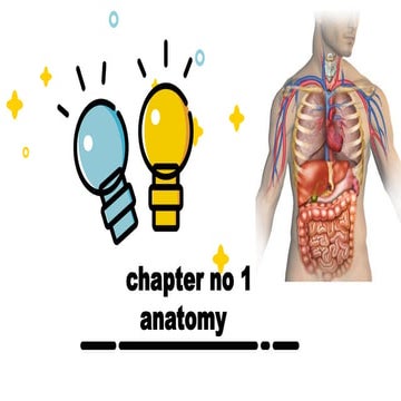 Introduction to anatomy