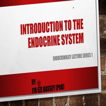 introduction to the endocrine system