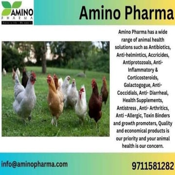 AMINO-CAL D3 Vitamin And Calcium Supplement For Livestock And Poultry ...