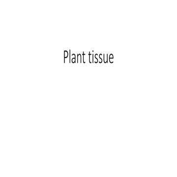 Presentation (1).ppt