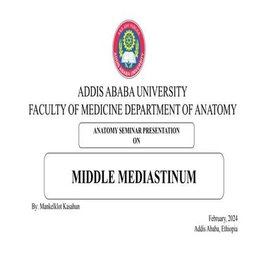 anatomy of the middle medistanium by kich.pptx