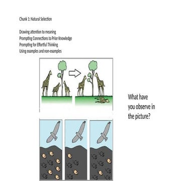 Presentation1hfbvdbvjfdbvjbjvnnvjfdvnjdf.pptx