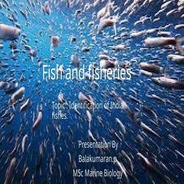 Ornamental Fish Species List | PDF