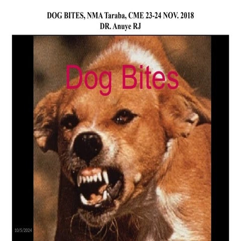 DOG BITE ON HUMANS,TREATMENT ,IMMUNIZATION AND LEGAL IMPLICATION
