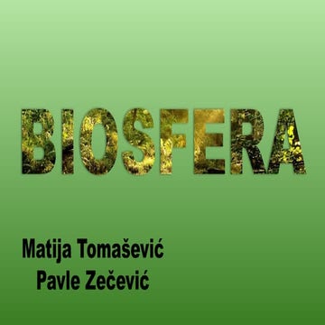 Presentation1.pptxyyyyyyyyyyyyyyyyyyyyyyyyy | PPT