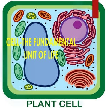 Presentation on cell structure and function | PPTX