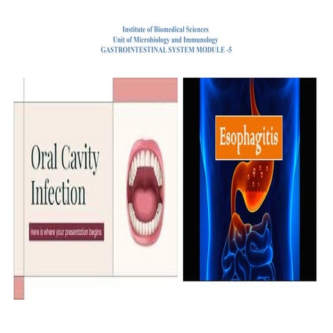 Presentation1. git.pptx  Presentation1. git.pptx