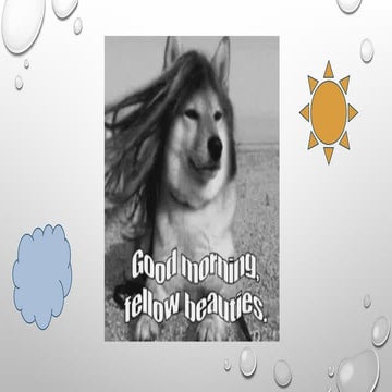 Section 1 : The Child and Adolescent Learners