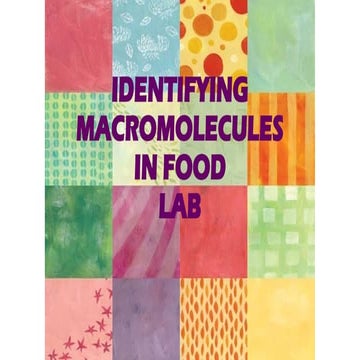 Food test practical notes | PPTX