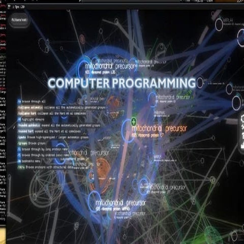 Presentation1   c o-mprog