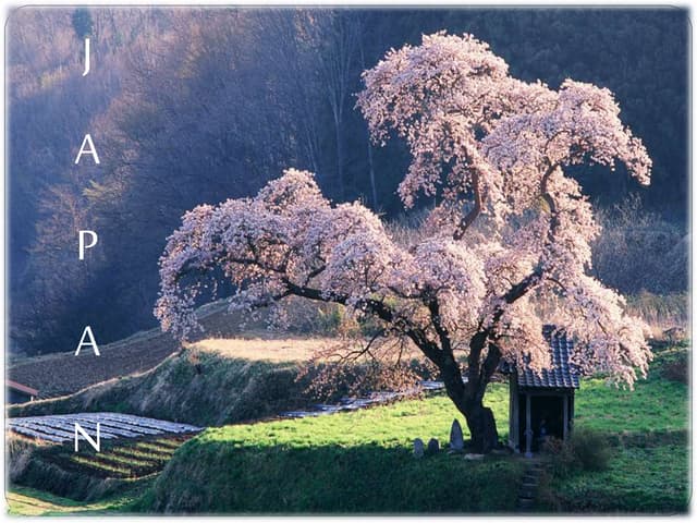 Presentation on Japan - Japan and the Pacific Rim